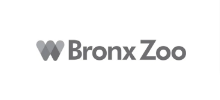Bronx Zoo